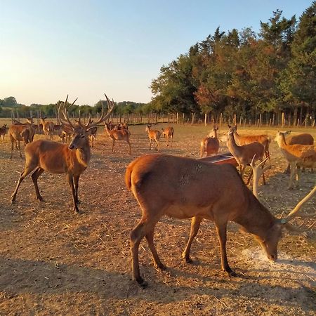 Ferme De L'Etang - Gite Epuisay المظهر الخارجي الصورة